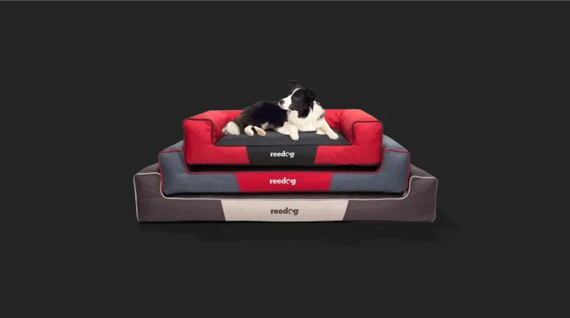 Pet beds