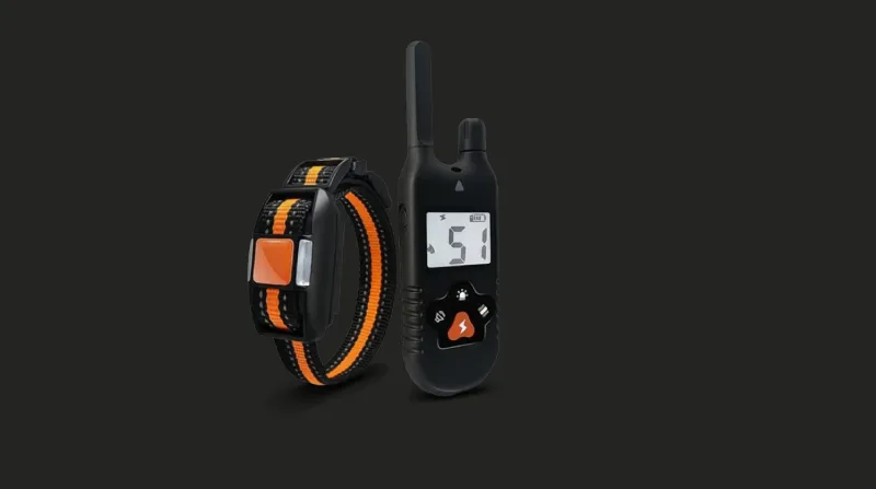 Smart training